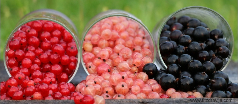 BERRY NECTAR